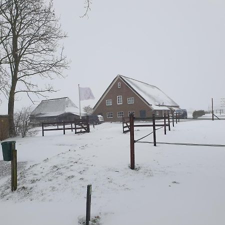 Landelijk Gelegen Boerderij Aan De Pothofweg Lejlighed Anevelde Eksteriør billede
